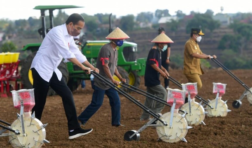 Presiden Joko Widodo melakukan penanaman jagung di area pertanian di Kecamatan Kelara, Kabupaten Jeneponto