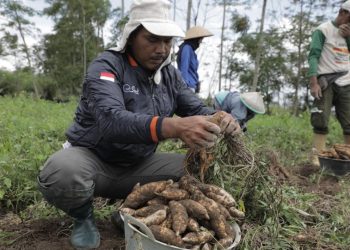 Cerita 3 Petani Inspiratif Asal Jateng