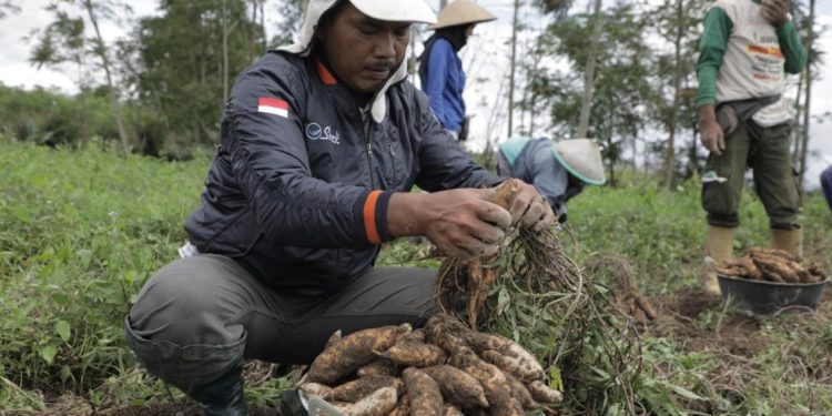Cerita 3 Petani Inspiratif Asal Jateng