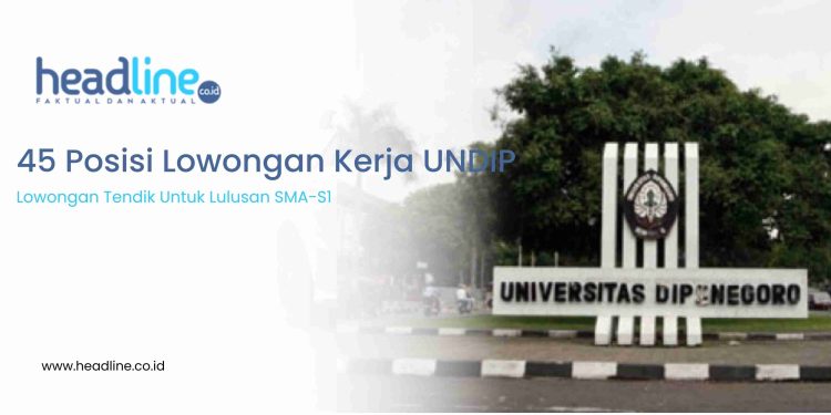 Lowongan Kerja Lulusan SMA Hingga S1 Undip 2022
