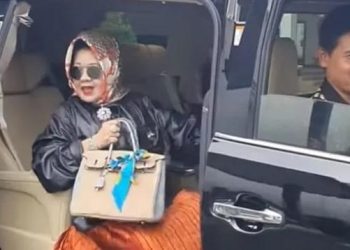 Profil Lengkap Kepala Dinas Kesehatan Lampung Reihana