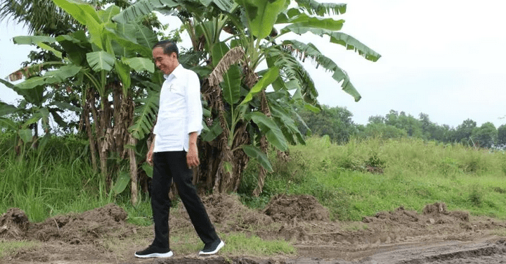 Presiden Joko Widodo tengah melihat secara langsung jalan yang rusak di Lampung Tengah, tepatnya jalan di Seputih Raman