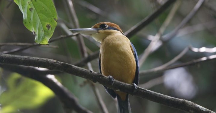 Harga Tiket Masuk Taman Wisata Alam Kerandangan Lombok