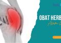 Obat Herbal Asam urat