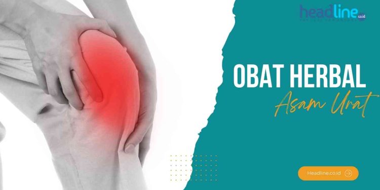 Obat Herbal Asam urat