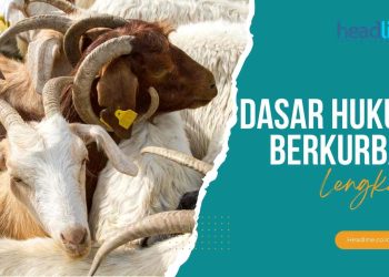hukum melaksanakan akikah dan kurban adalah