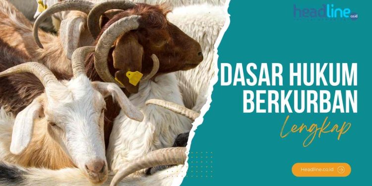 hukum melaksanakan akikah dan kurban adalah