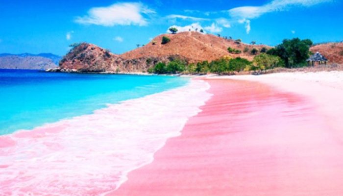 informasi wisata pantai pulau merah banyuwangi