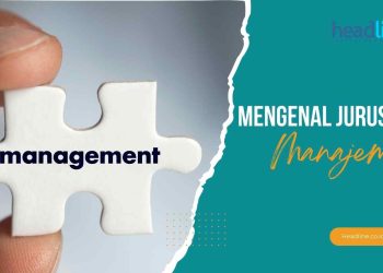 kuliah jurusan manajemen kerjanya jadi apa