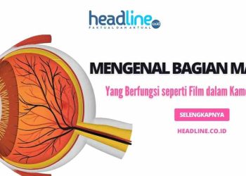 Bagian kamera yang fungsinya mirip dengan retina pada mata adalah
