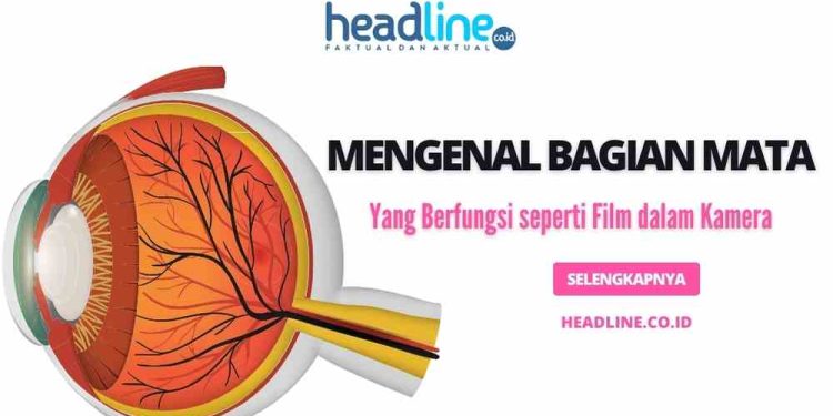 Bagian kamera yang fungsinya mirip dengan retina pada mata adalah