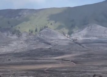 Dampak Kebakaran Bromo