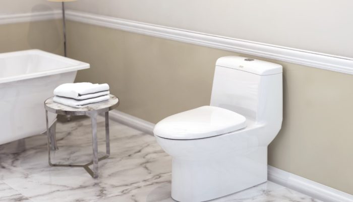 Harga closet duduk murah