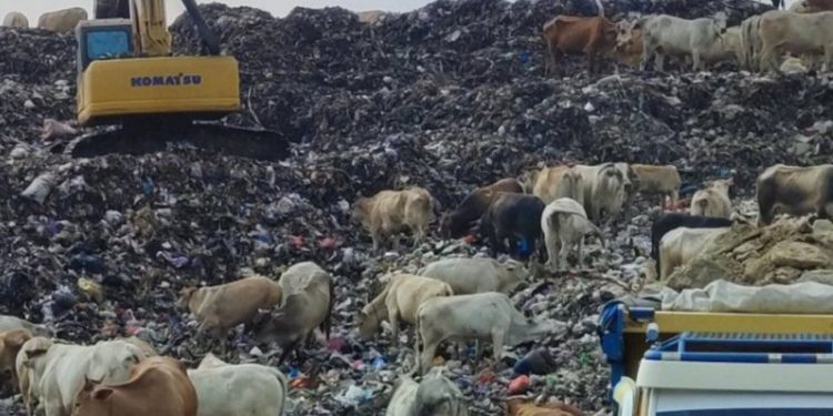 Kapan TPST Piyungan di Buka Kembali