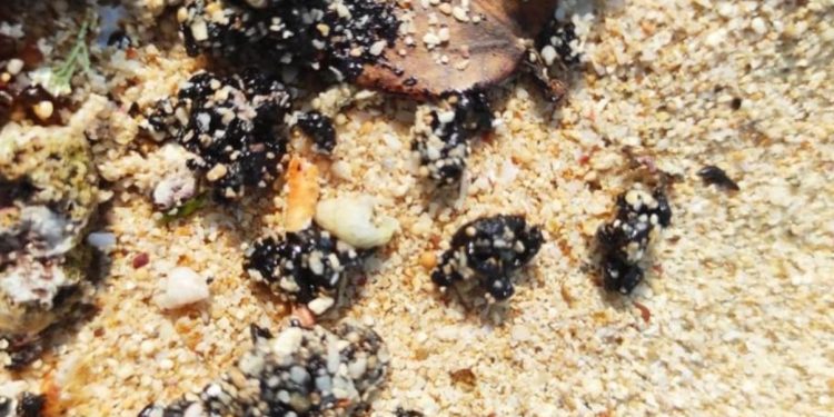 Penampakan gumpalan hitam di pinggir Pantai Slili dan Krakal Kabupaten Gunungkidul