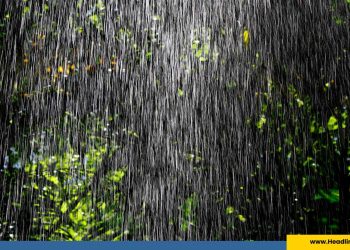 Prediksi Kapan Jogja Mulai Hujan dari BMKG