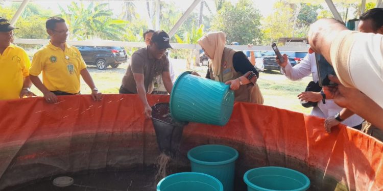 BNPB lakukan Uji Coba Instrumen Kuesioner Penyusunan Petunjuk Pelaksanaan Monitoring dan Evaluasi Pooling Fund Pascabencana juga dilakukan di lokasi terdampak Siklon Seroja