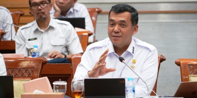 Direktur Jenderal Imigrasi, Silmy Karim