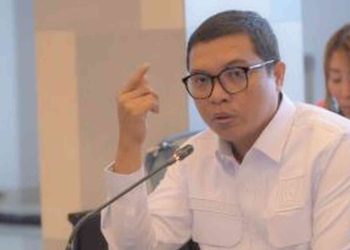 Ketua DPP PPP Achmad Baidowi atau Awiek