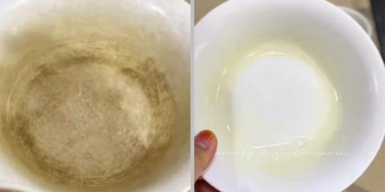 Tips Mudah Membuat Mangkok Melamin Kembali Bersih dan Kinclong