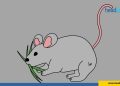 cara mengusir tikus yang membandel di rumah