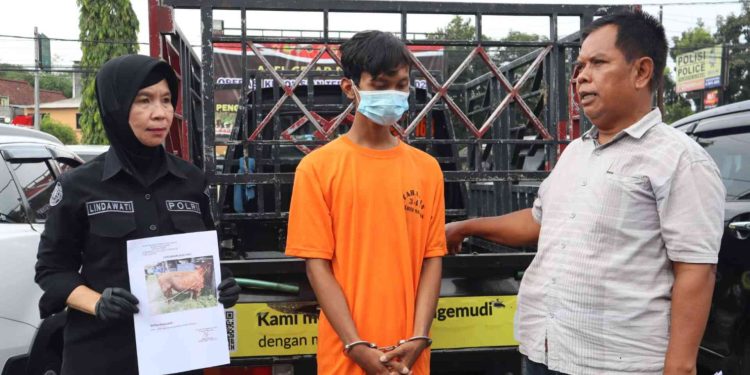 Pelaku Pencurian Sapi di Tempet Berhasil Ditangkap