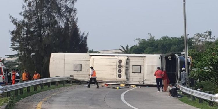 Polisi Ungkap Penyebab Kecelakaan Maut Bus Handoyo di Tol Cipali