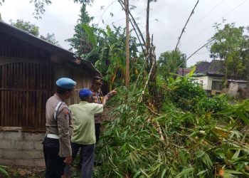 Lokasi Korban Memotong Bambu yang menyebabkan korban meninggal tersengat listrik