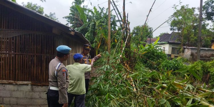 Lokasi Korban Memotong Bambu yang menyebabkan korban meninggal tersengat listrik