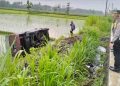 Mobil Masuk Sawah di Wates Kulon Progo