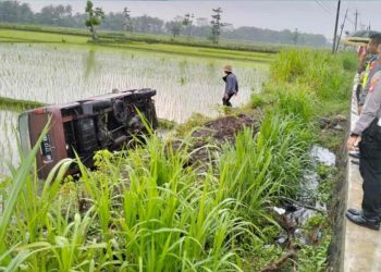 Mobil Masuk Sawah di Wates Kulon Progo