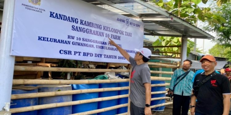 Penjabat Wali Kota Jogja Singgih Raharjo meninjau Kelompok Tani Sanggrahan 59 Farm Kelurahan Giwangan