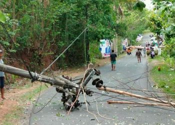 Tiang Lirik dan Pohon Tumbang