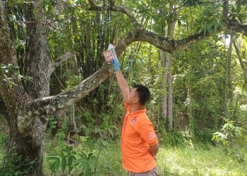 Pihak Kepolisian Sedang Melakukan Olah TKP di Lokasi Bunuh diri di Sedayu Bantul