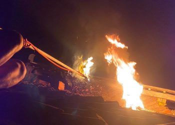 Team BPBD Bantul Melakukan Evakuasi Tawon Gung di Rumah Korban