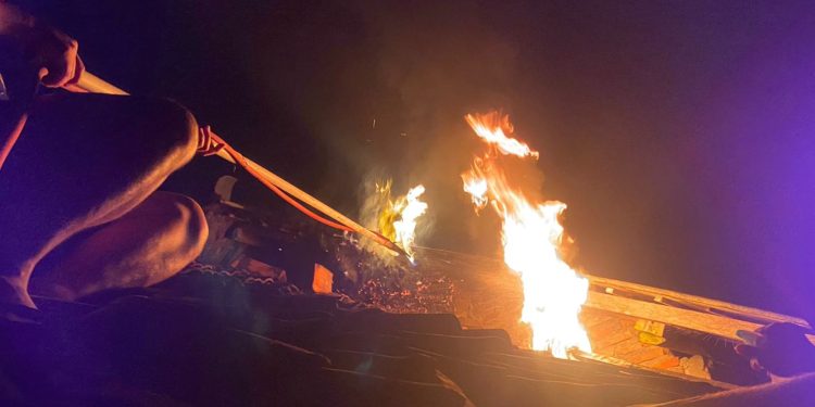 Team BPBD Bantul Melakukan Evakuasi Tawon Gung di Rumah Korban