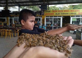 Alamat dan Rute Wisata Petik Madu Malang