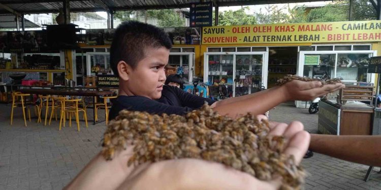 Alamat dan Rute Wisata Petik Madu Malang