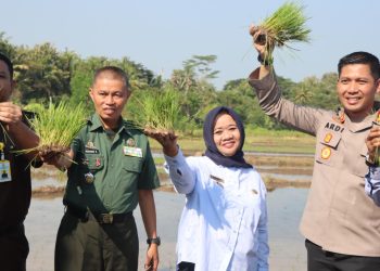 Kegiatan Kick Off Sinergitas Pembangunan Pertanian Untuk Mendukung Indonesia Maju di Suberrahayu Moyudan Sleman