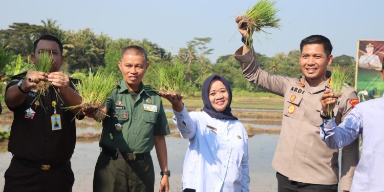 Kegiatan Kick Off Sinergitas Pembangunan Pertanian Untuk Mendukung Indonesia Maju di Suberrahayu Moyudan Sleman