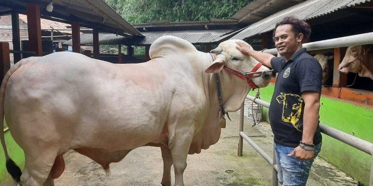 Presiden RI Joko Widodo membeli sapi untuk disembelih pada perayaan Idul Adha 1445 Hijriah dari peternak sapi di wilayah Pedukuhan Depok Kelurahan Wonolelo Kecamatan Pleret Kabupaten Bantul
