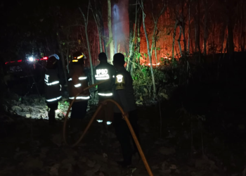 Proses Pemadaman Kebun Jati Terbakar di Bantul
