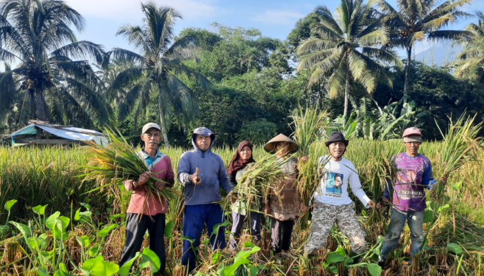 Yoyok Sulistyo Anggota DPRD Lampung di Sawah