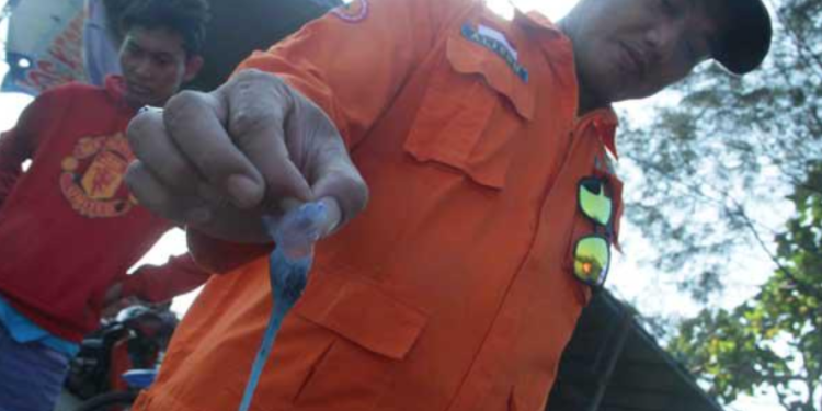 ilustrasi gambar ubur-ubur