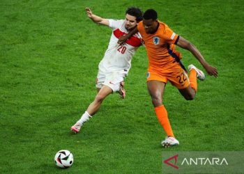 Turki Perkasa: Brighton Datangkan Bek Tangguh untuk Perkuat Pertahanan