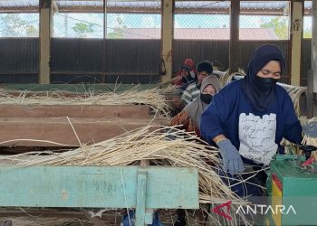 OSS Lancar, Investasi Mengalir Deras: Menembus Hambatan Birokrasi demi Pertumbuhan Ekonomi