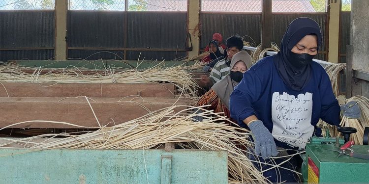 OSS Lancar, Investasi Mengalir Deras: Menembus Hambatan Birokrasi demi Pertumbuhan Ekonomi