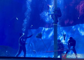 Jelajahi Fan-sea Paradise: Petualangan JAQS yang Menyenangkan di HUT RI