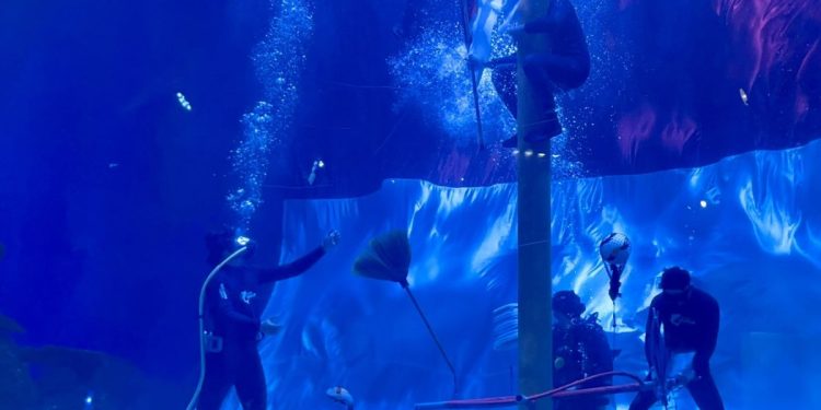 Jelajahi Fan-sea Paradise: Petualangan JAQS yang Menyenangkan di HUT RI