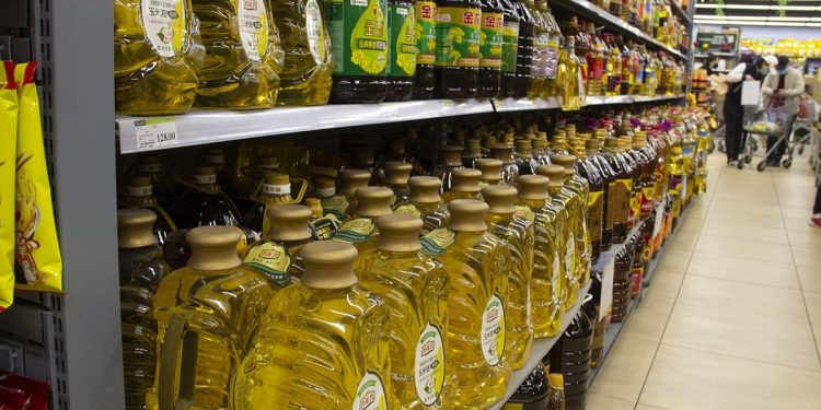 Panduan Mencari Minyak Jagung Unggul: Rahasia Dapur Sehat Anda